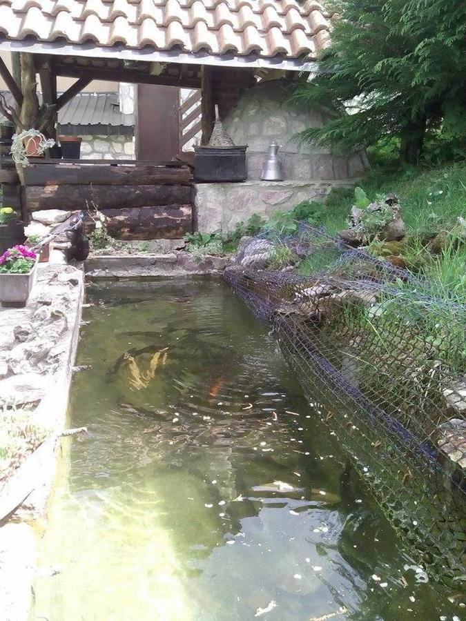 מוורובו Apartment Suzana מראה חיצוני תמונה